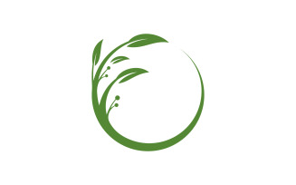 Olive Oil leaf vector illustration design template v.9