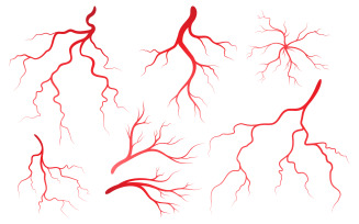 Human Health veins and arteries illustration design template v.1