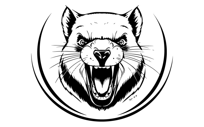 Sketch of a Tasmanian illustration Illustration