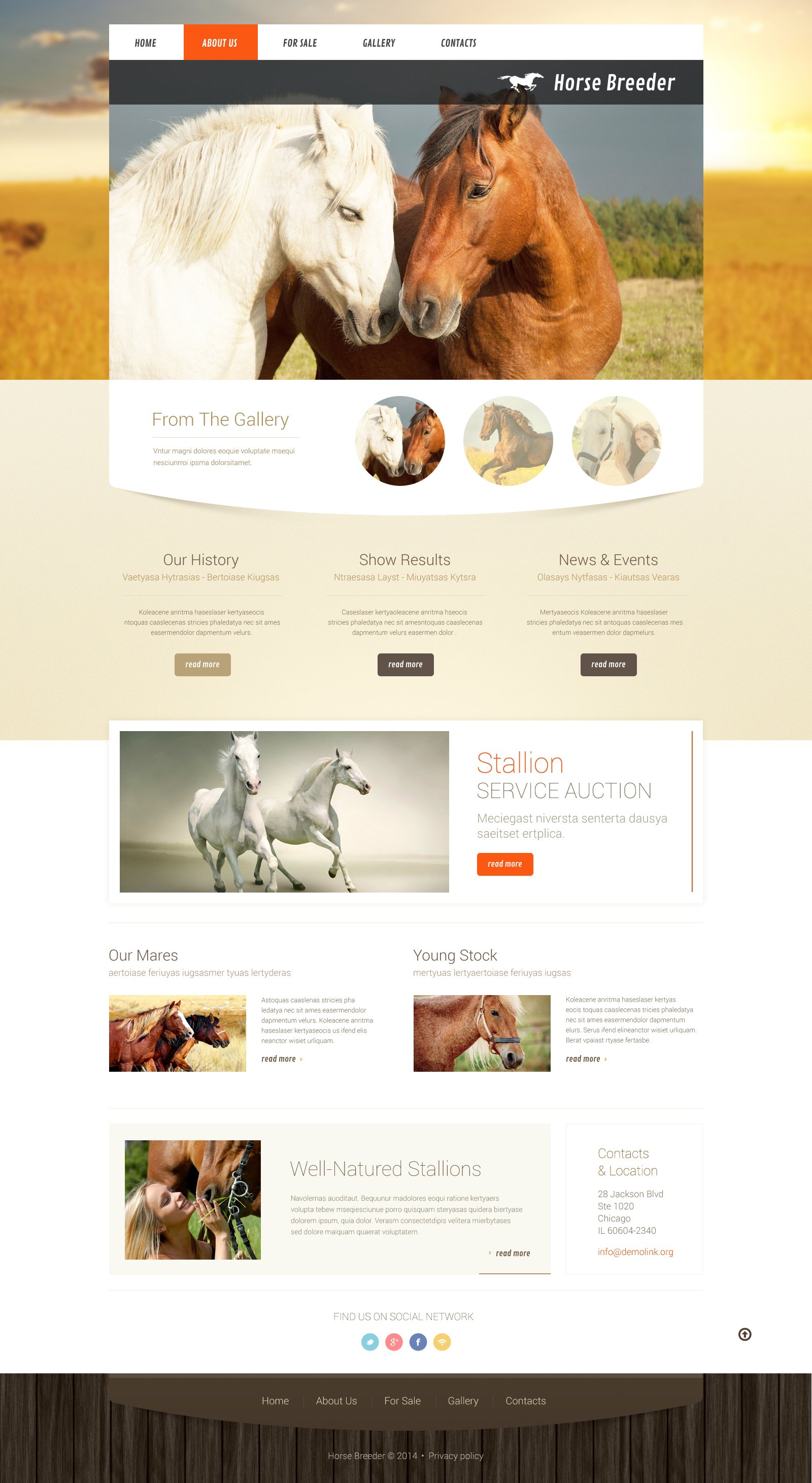 Horse Responsive Website Template