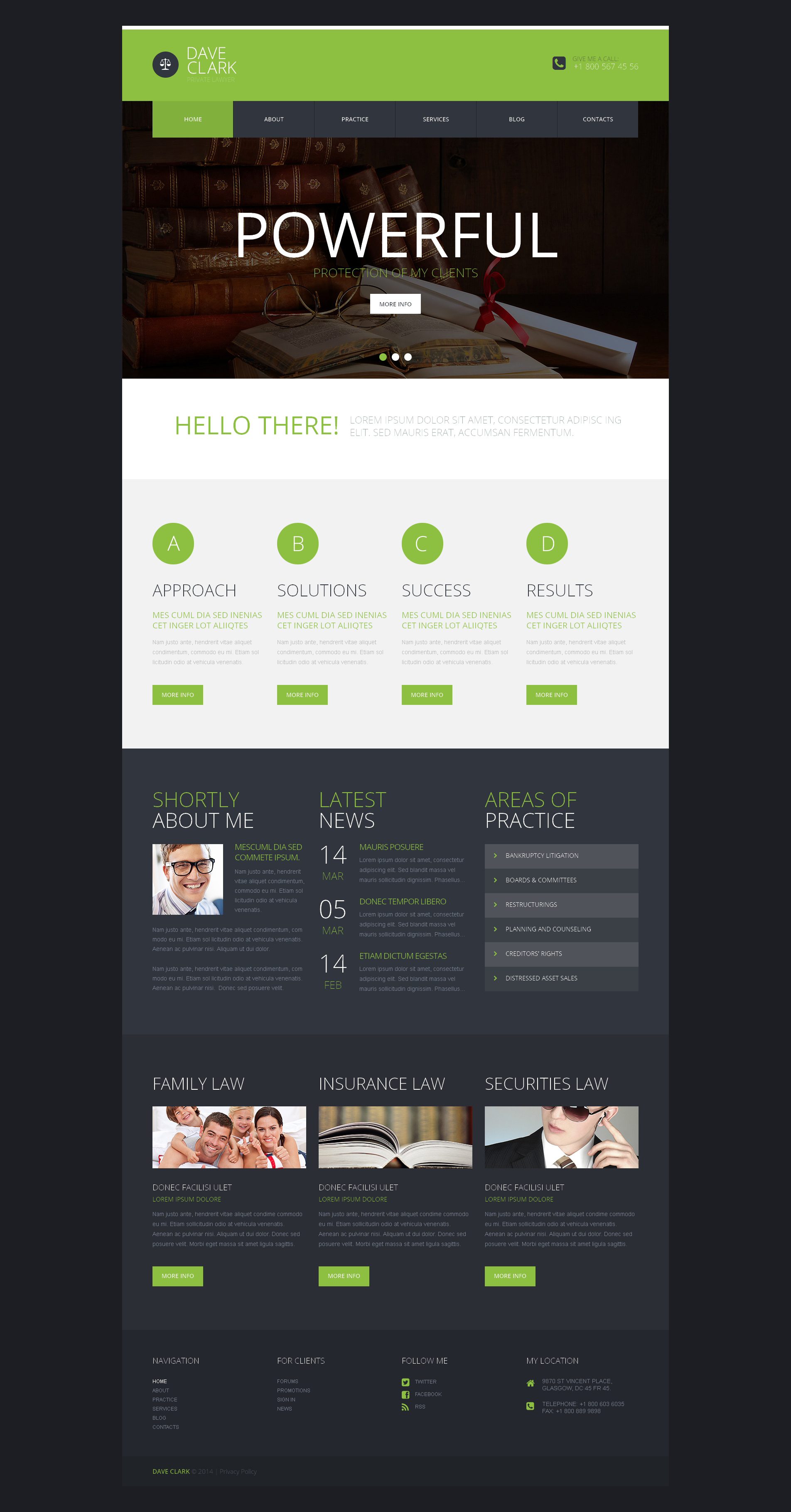 Private Lawyer №49403