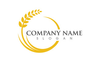 Agriculture Rice farm wheat vector icon illustration design v.3