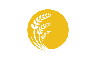 Agriculture Rice farm wheat vector icon illustration design v.5