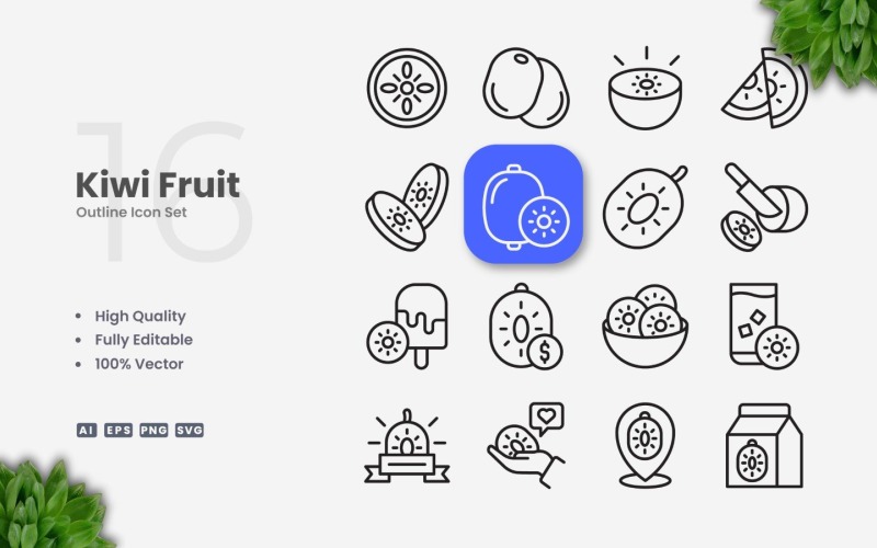 16 Kiwi Fruit Outline Icon Set