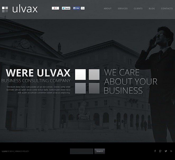 Consulting Flash CMS Template New Screenshots BIG