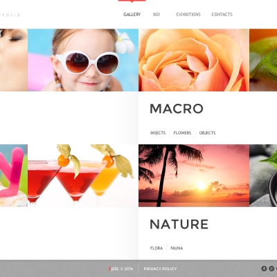 20+ Best Photo Studio Website Templates