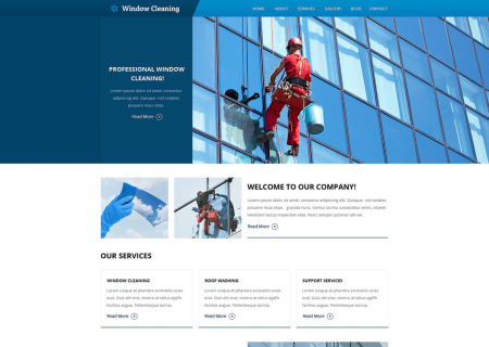 Window Cleaning Responsive