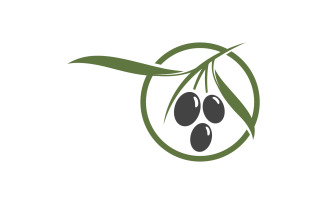 Olive Fruit icon vector illustration design template v.16