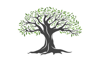 Olive Fruit Tree icon vector illustration design template v.13