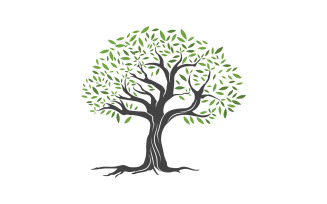 Olive Fruit Tree icon vector illustration design template v.17