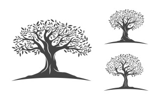 Olive Fruit Tree icon vector illustration design template v.6