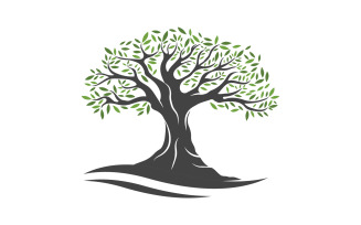 Olive Fruit Tree icon vector illustration design template v.8