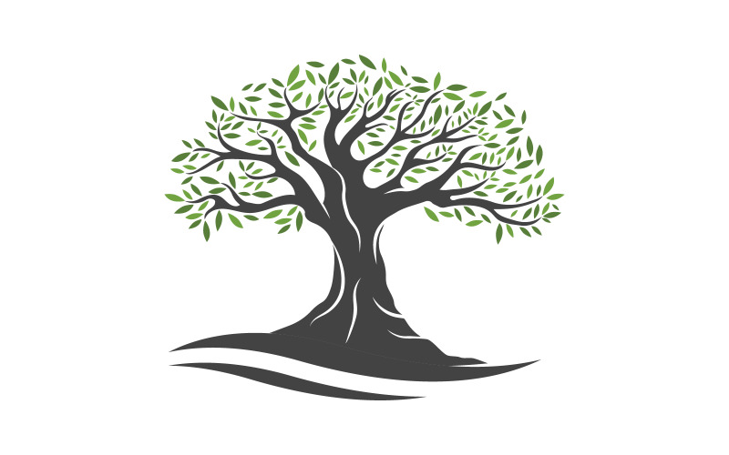 Olive Fruit Tree icon vector illustration design template v.8 Logo Template