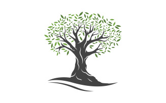 Olive Fruit Tree icon vector illustration design template v.9