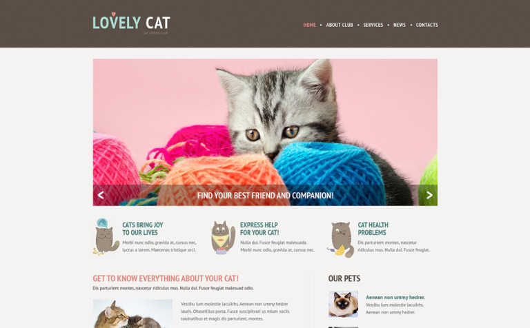 Cat Responsive Website Theme Big Screenshot Cat Responsive Website Template New Screenshots BIG
