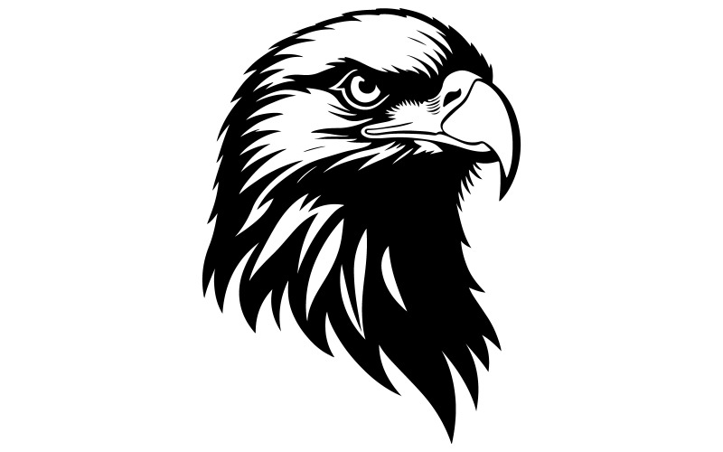 Eagle head silhouette art illustration Illustration