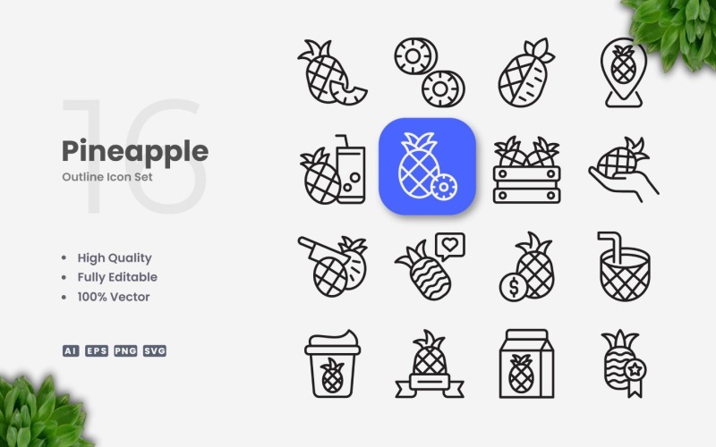 16 Pineapple Outline Icon Set