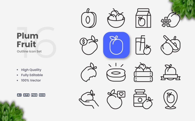 16 Plum Fruit Outline Icon Set