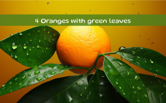 Oranges with green leaves
