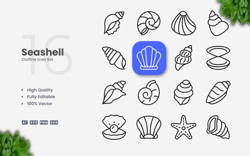 16 Seashell Outline Icon Set