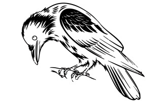 A white on black T-shirt illustration of a crow