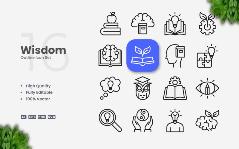 16 Wisdom Outline Icon Set
