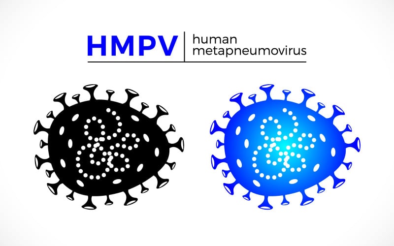 HMPV human metapneumovirus virus vector icon Illustration