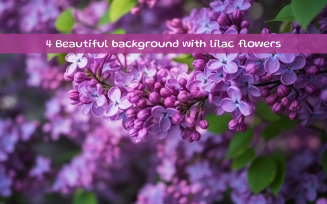 Beautiful background with lilac flowers