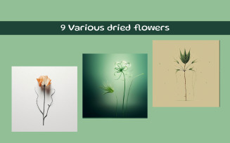 Various dried flowers AI image