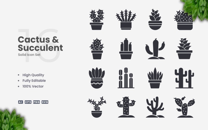 16 Cactus and Succulent Solid Icon Set