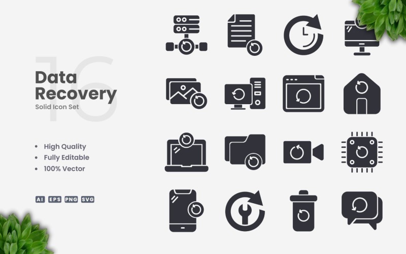 16 Data Recovery Solid Icon Set
