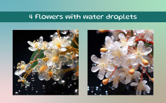 Flowers with water droplets