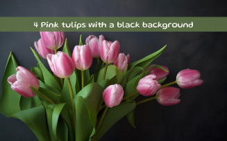 Pink tulips with a black background