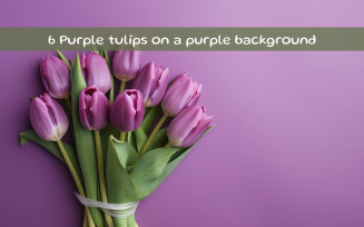 Purple tulips on a purple background