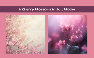 Cherry blossoms in full bloom on a tree