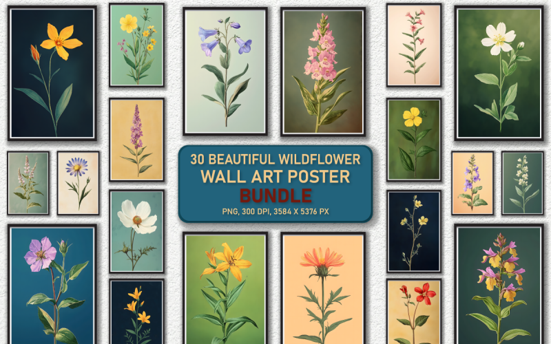 Botanical Wildflower Wall Art Poster Bundle Illustration