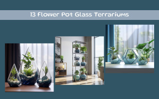 Flower Pot Glass Terrariums