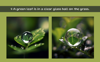 A green leaf is in a clear glass ball on the grass