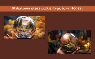 Autumn glass globe in autumn forest