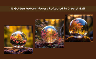 Golden Autumn Forest Reflected in Crystal Ball
