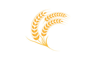 Farm wheat rice vector icon illustration design template v.13