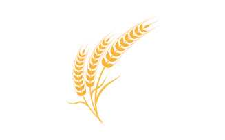 Farm wheat rice vector icon illustration design template v.15
