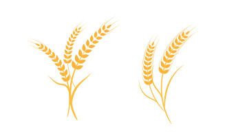 Farm wheat rice vector icon illustration design template v.18