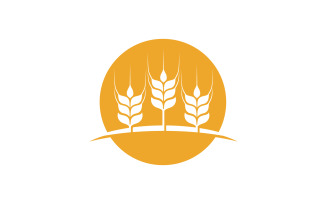 Farm wheat rice vector icon illustration design template v.21