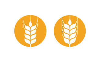 Farm wheat rice vector icon illustration design template v.23