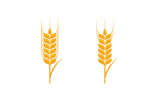 Farm wheat rice vector icon illustration design template v.24