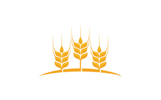 Farm wheat rice vector icon illustration design template v.25