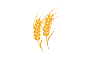 Farm wheat rice vector icon illustration design template v.26