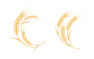 Farm wheat rice vector icon illustration design template v.3