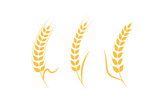 Farm wheat rice vector icon illustration design template v.6